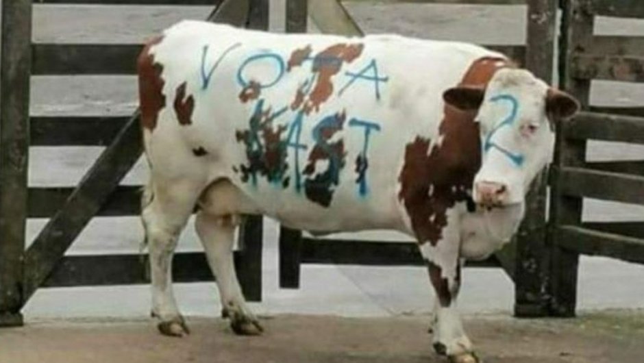 Foto: @diegocorvalan.