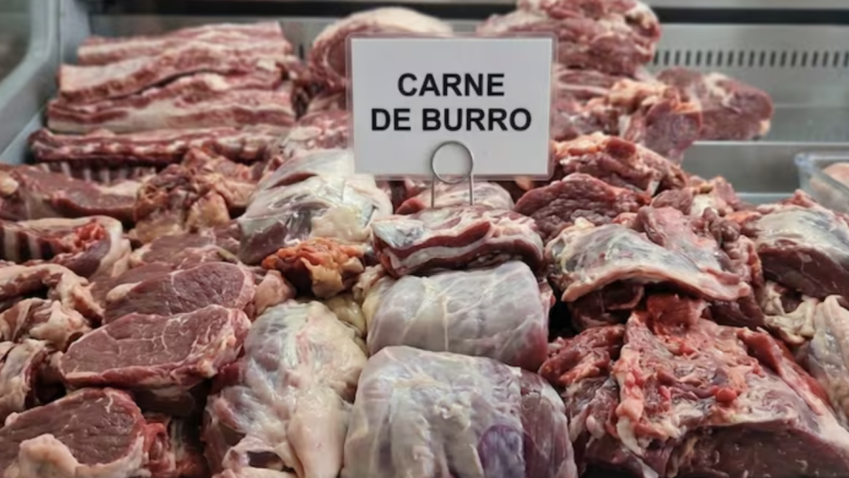 Imagen ilustrativa creada con IA